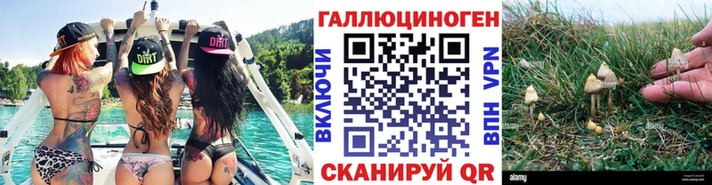 где можно купить наркотик  Казань  Псилоцибиновые грибы ЛСД 